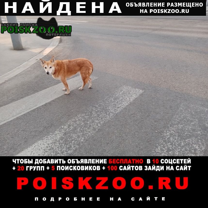 ���� ������� ������ �������� ������