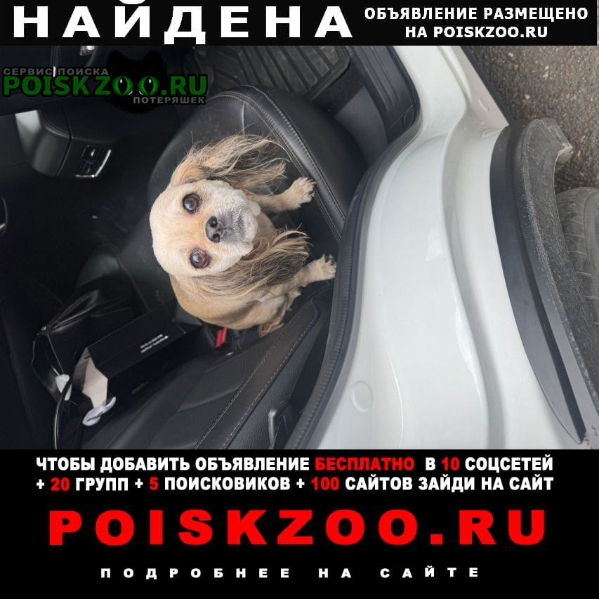 ���� ������� ������