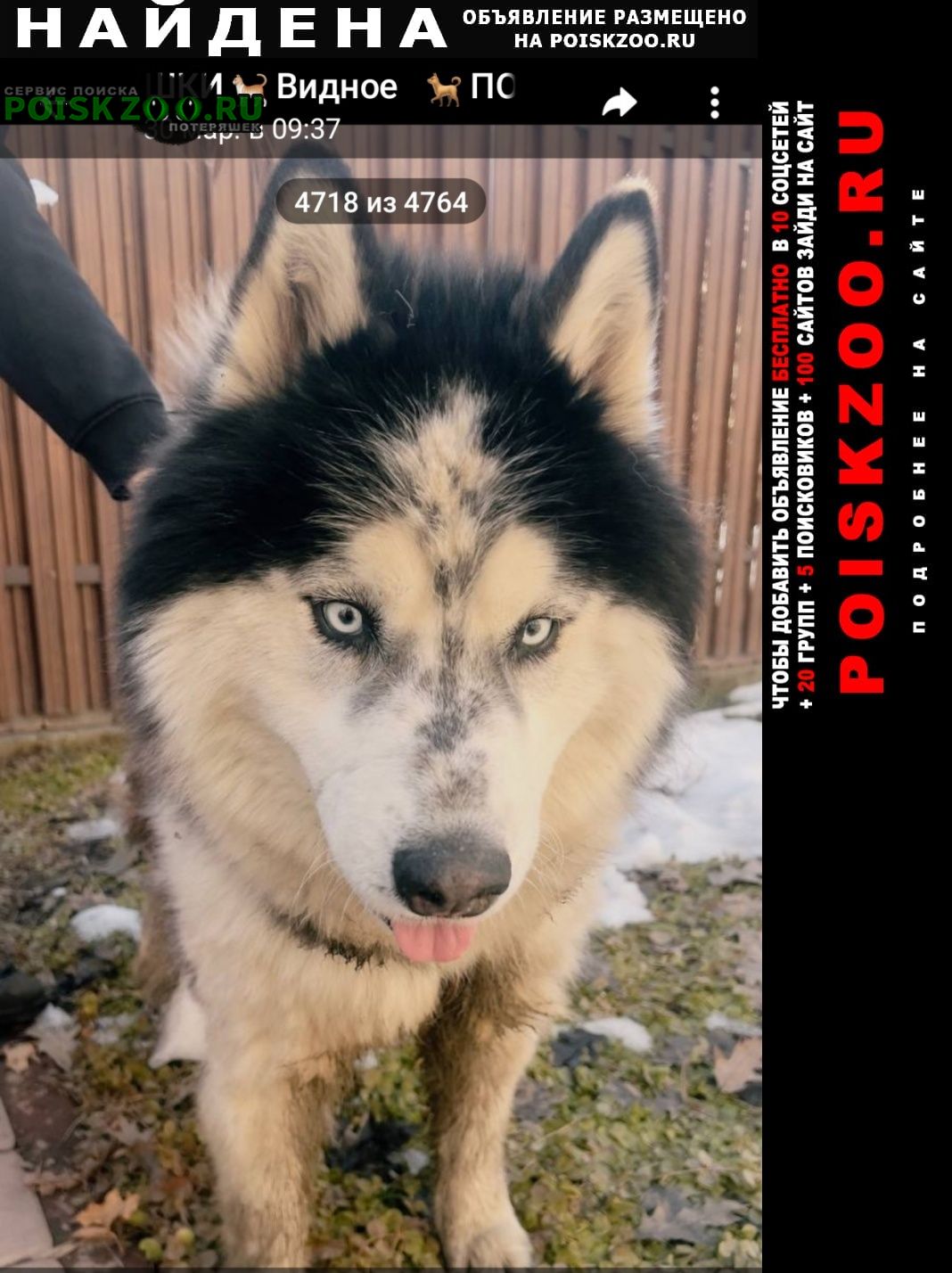 ���� ������� ������ �����