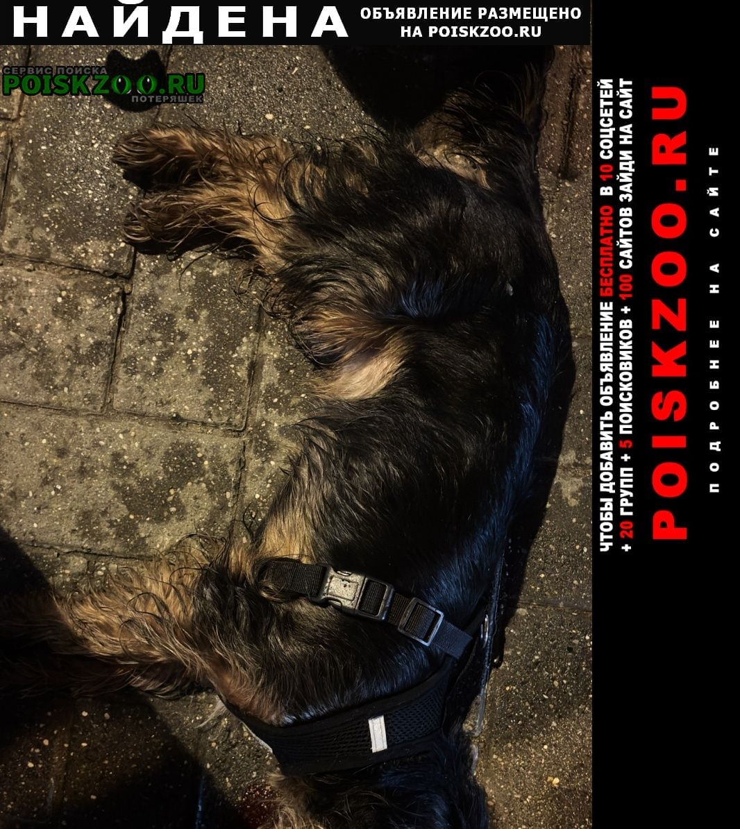 ���� ������� ������ ����������� ������