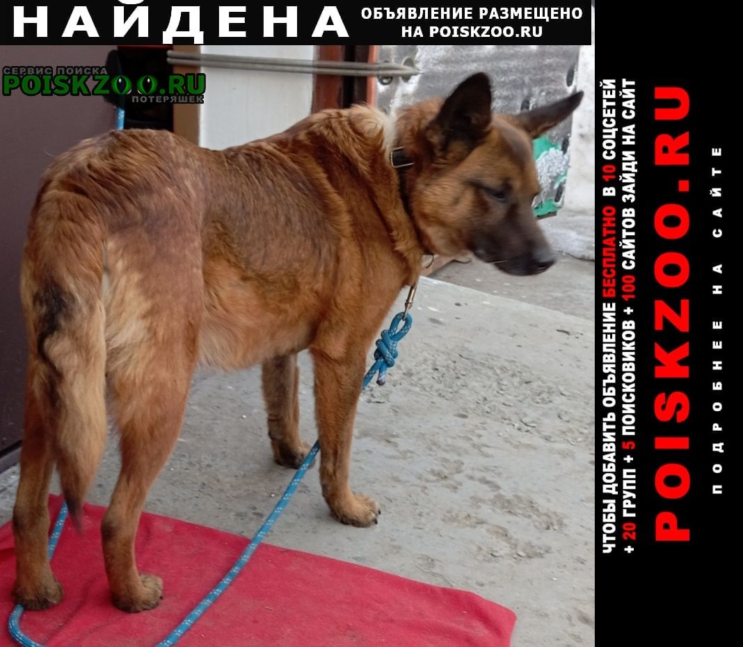 ���� ������� ������ ������ ���� �������