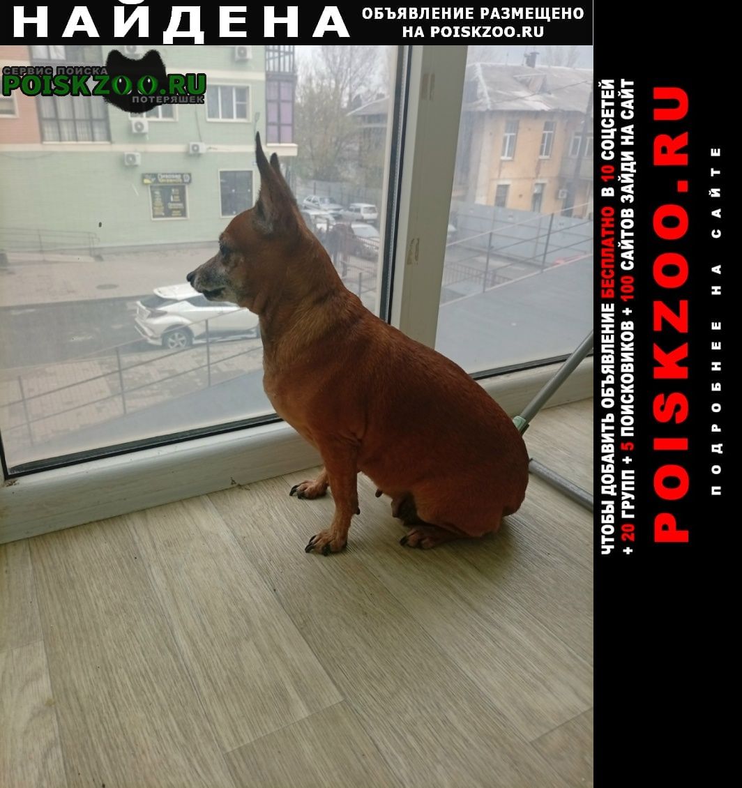 ���� ������� ������