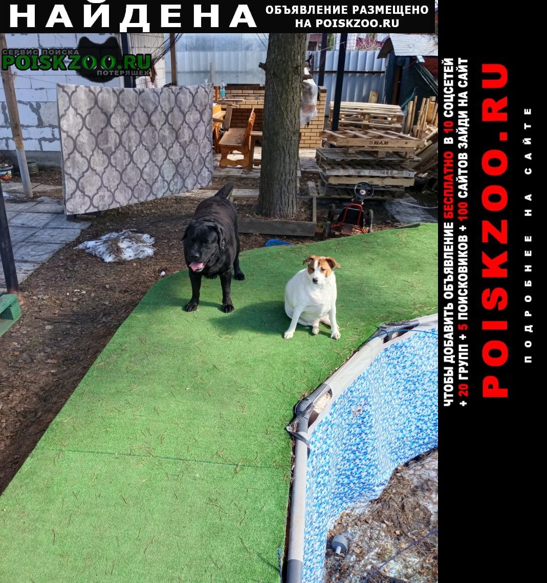 ���� ������� ������ ������ ���������