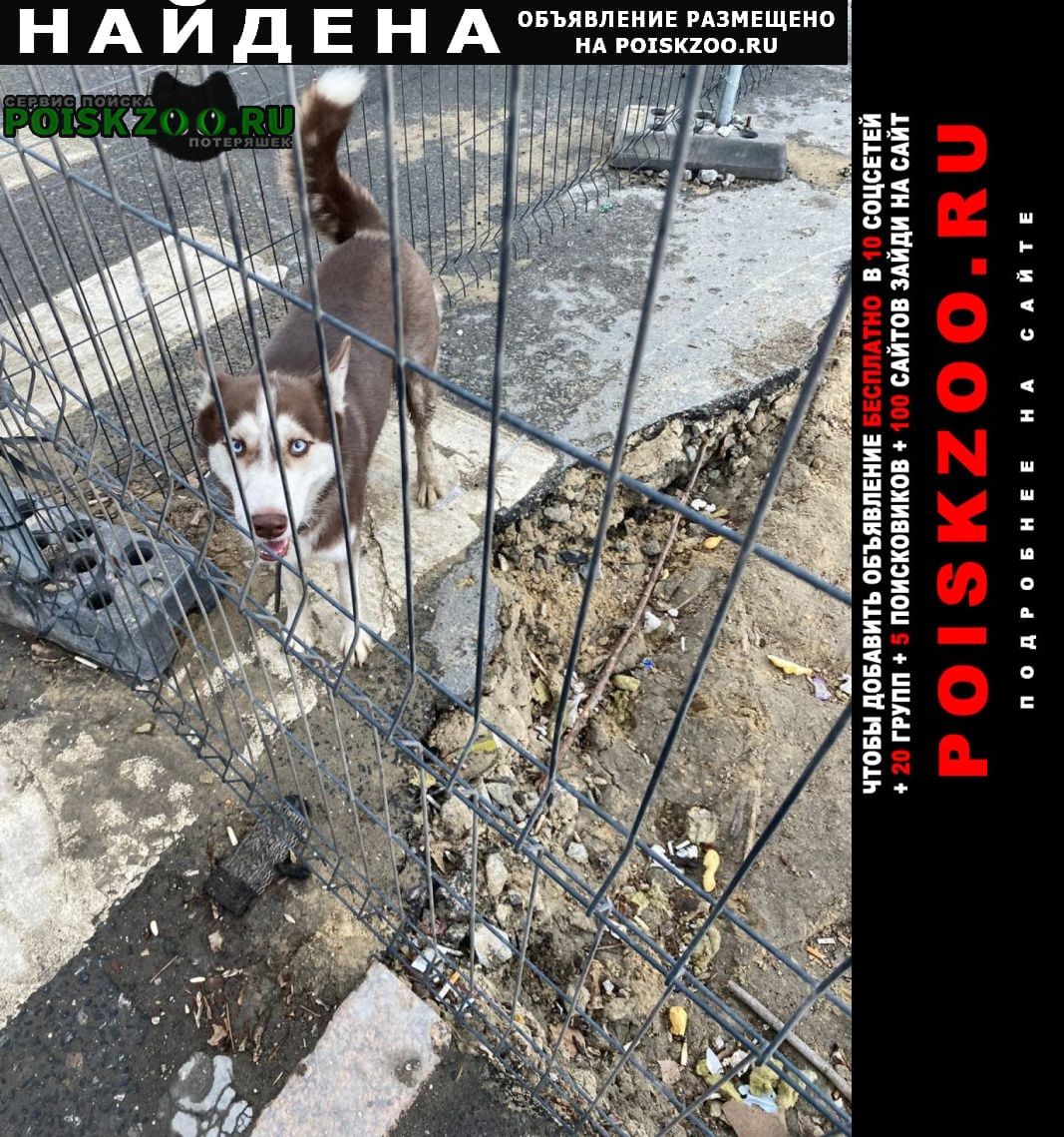 ���� ������� ������