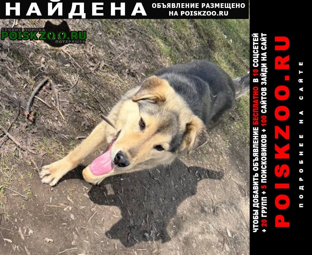 ���� ������� ������ ������ ���������, � ���������