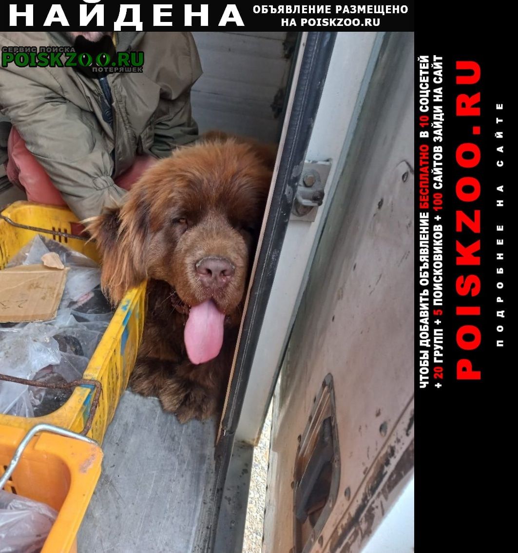 ���� ������� ������ ������ � ���������� ������.