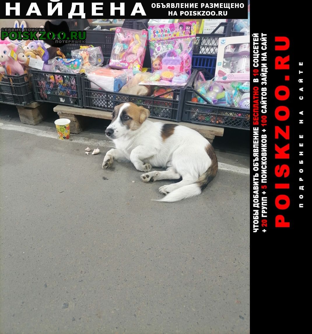 ���� ������� ������ ������ ��������� �� ����������� �����