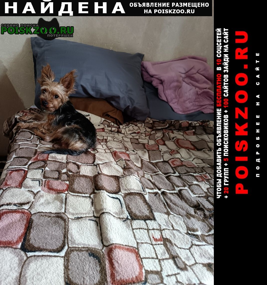 ���� ������� ������ ������ ����������� ������