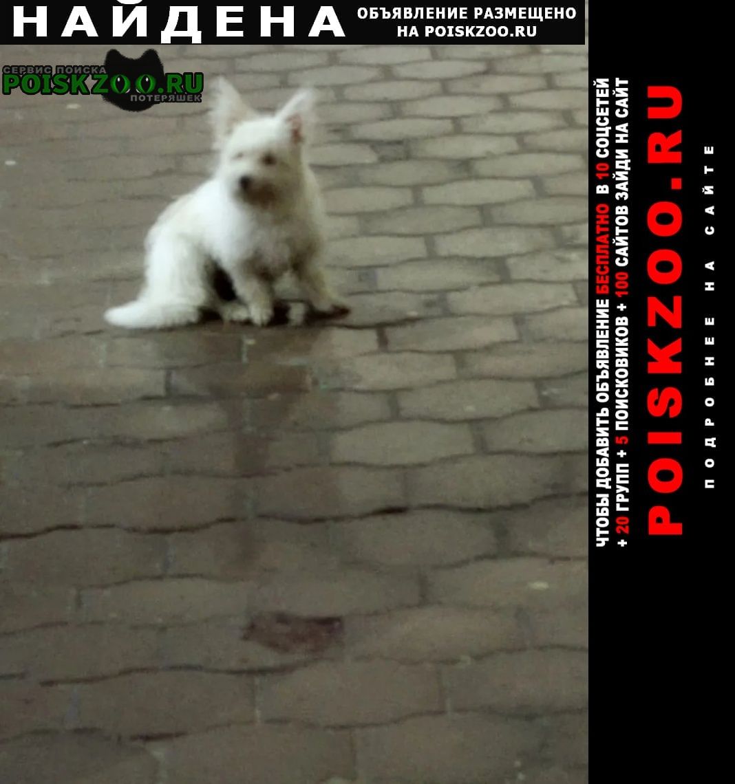 ���� ������� ������