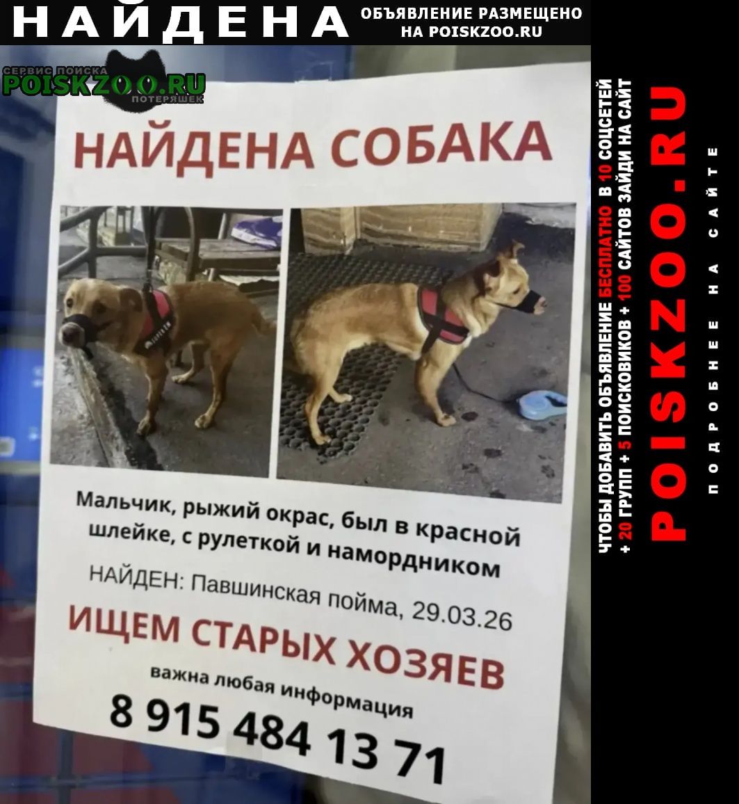 ���� ������� ������ ������. � 16-35 ���