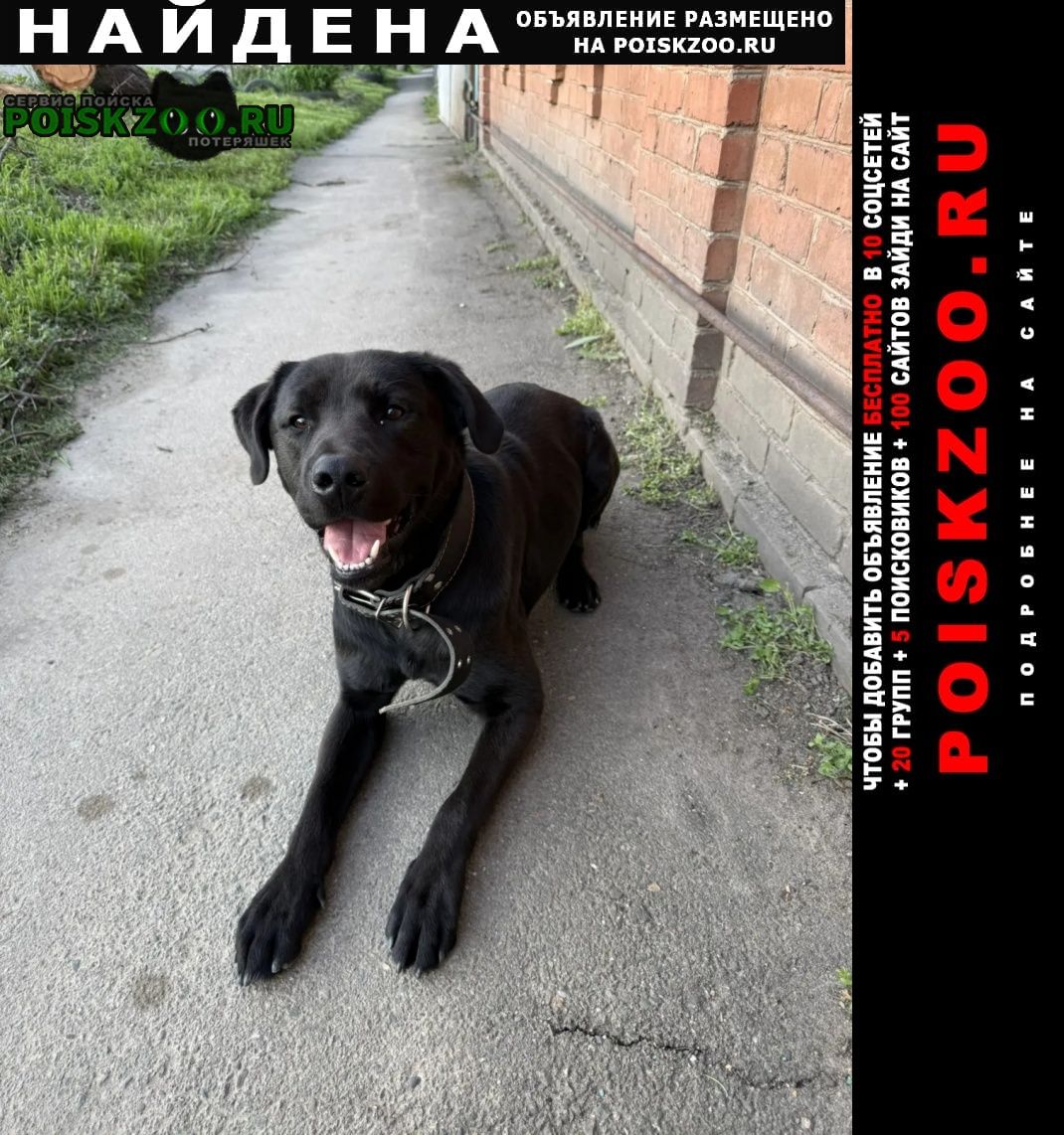 ���� ������� ������ ������ ���������, �������