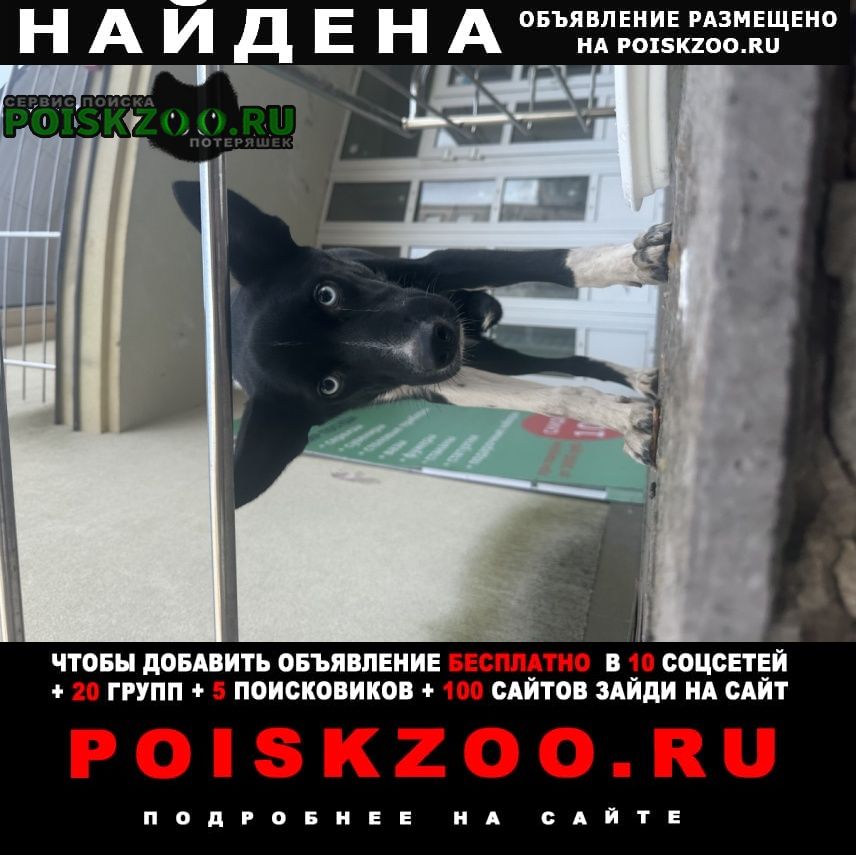 ���� ������� ������ ���� �������