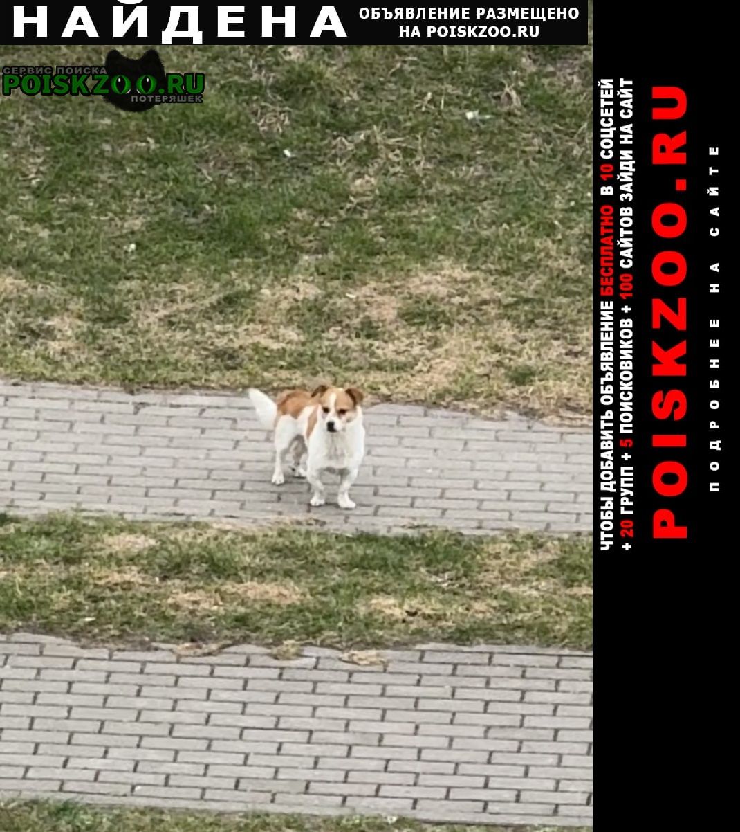 ���� ������� ������