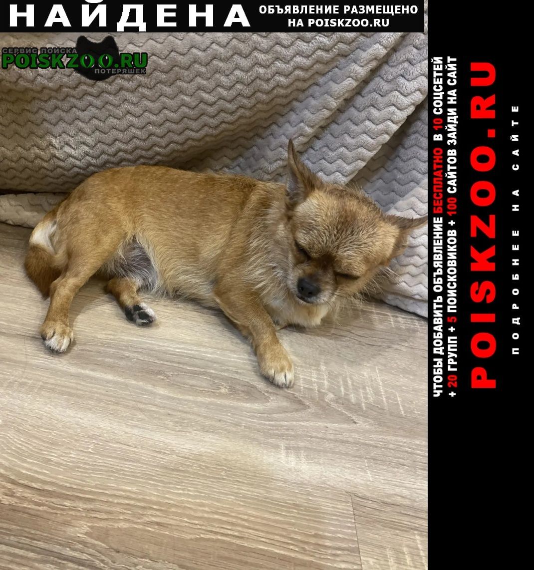 ���� ������� ������