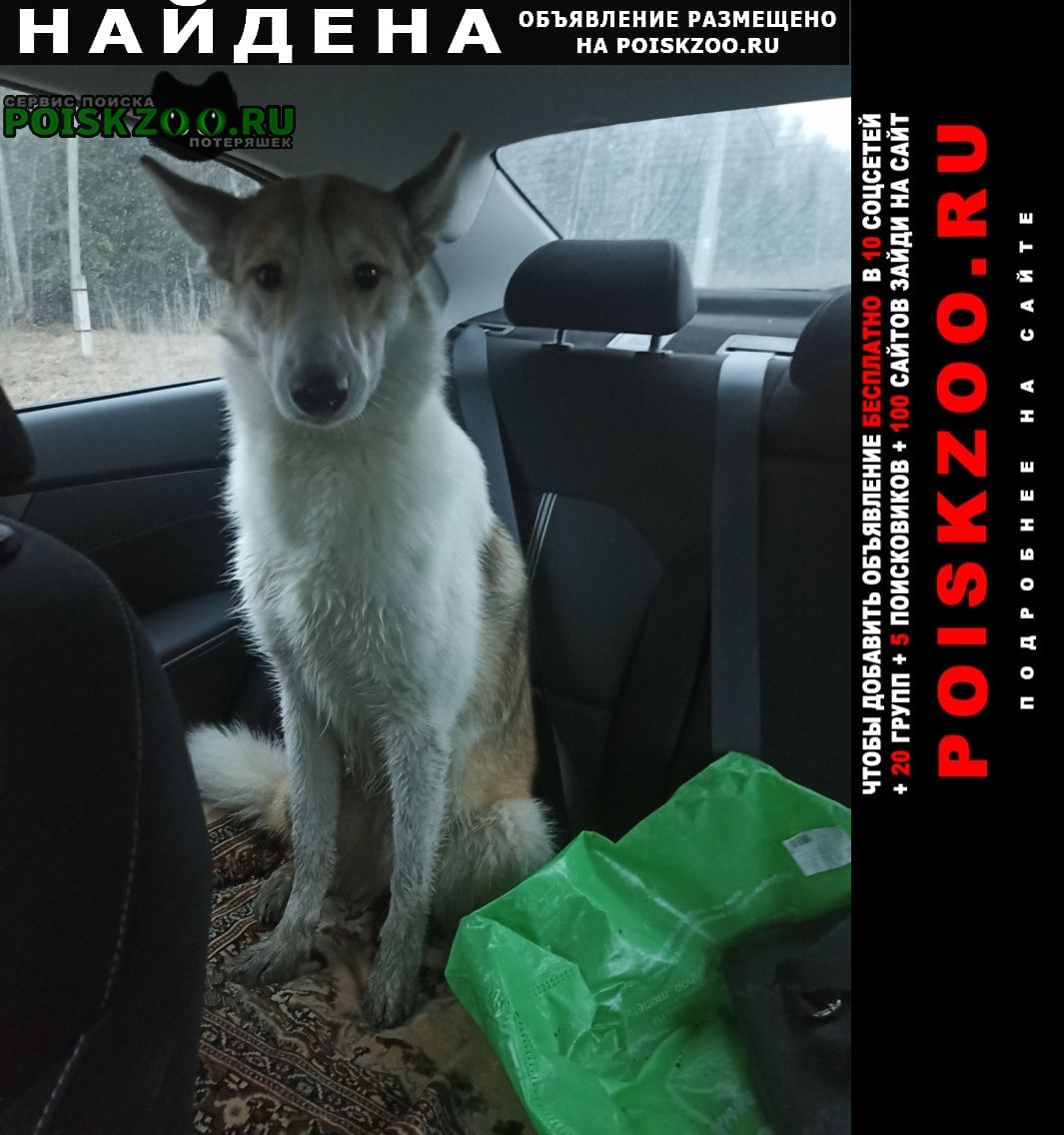 ���� ������� ������ ������