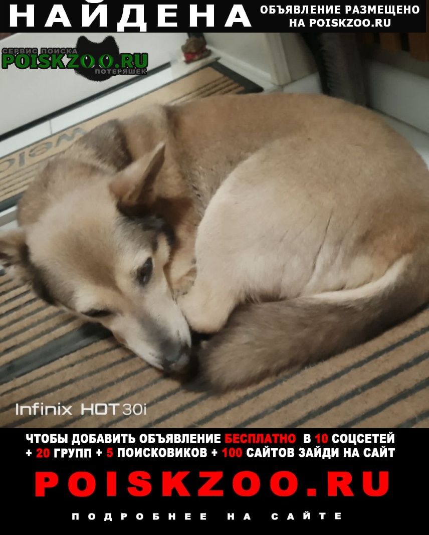 ���� ������� ������ ������� ������