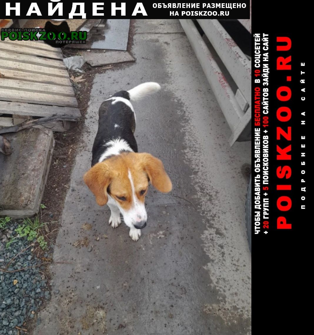 ���� �������� ����� 09. 04.