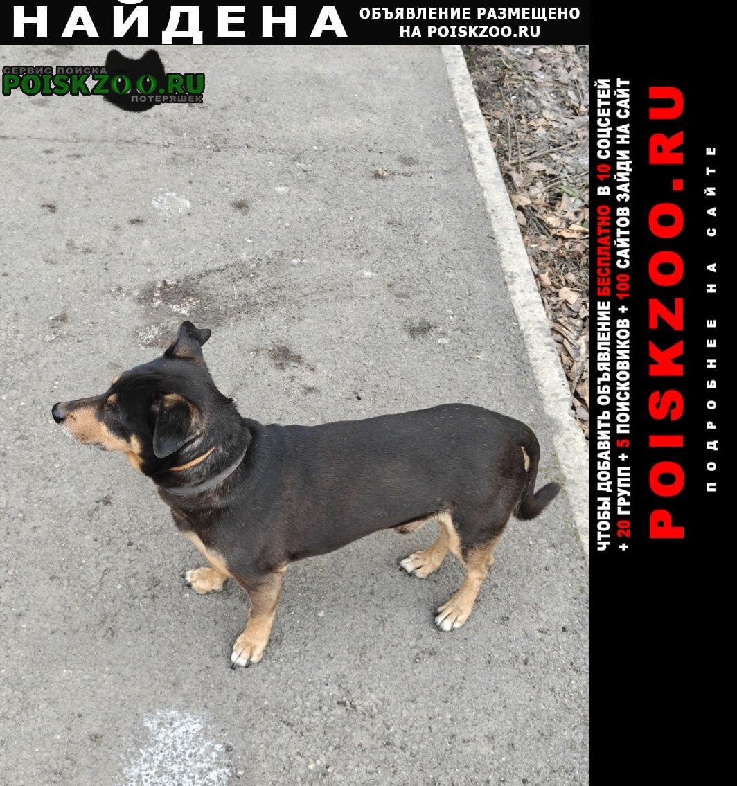 ���� ������� ������ ������