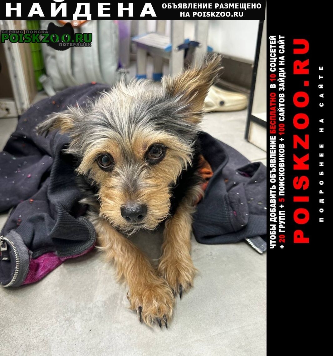 ���� ������� ������