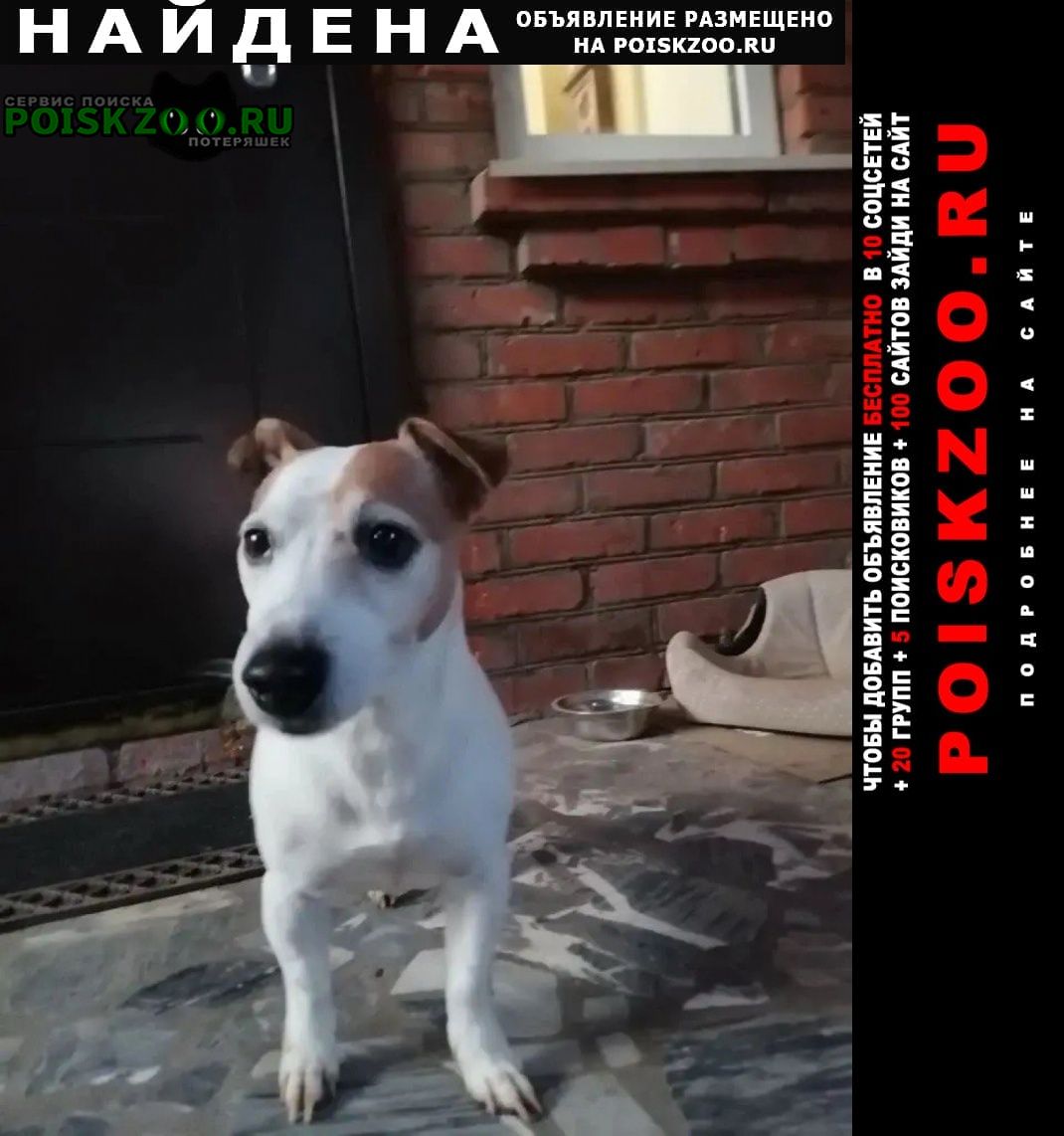 ���� ������� ������ ������