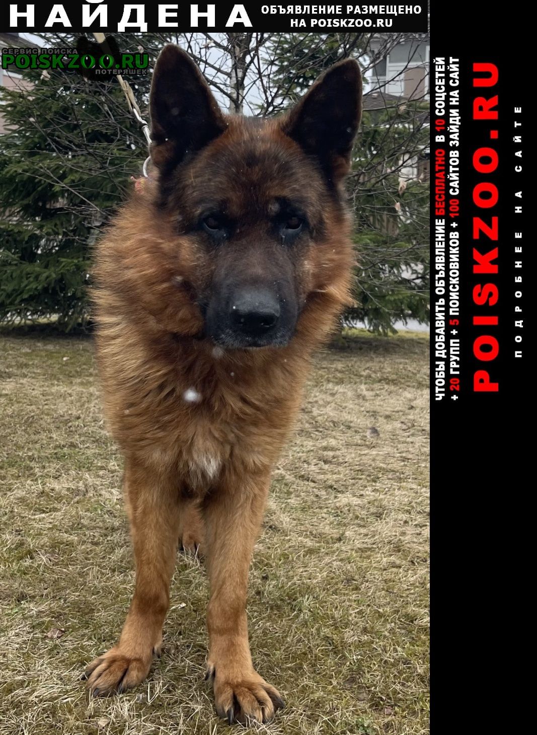 ���� ������� ������ ������ �������� �������