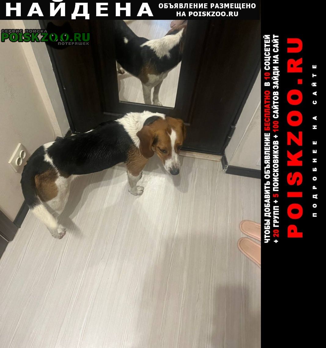 ���� �������� ����� �������