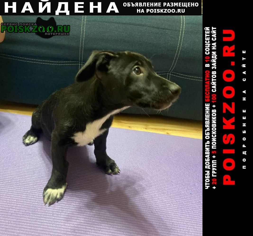 ���� ������� ������