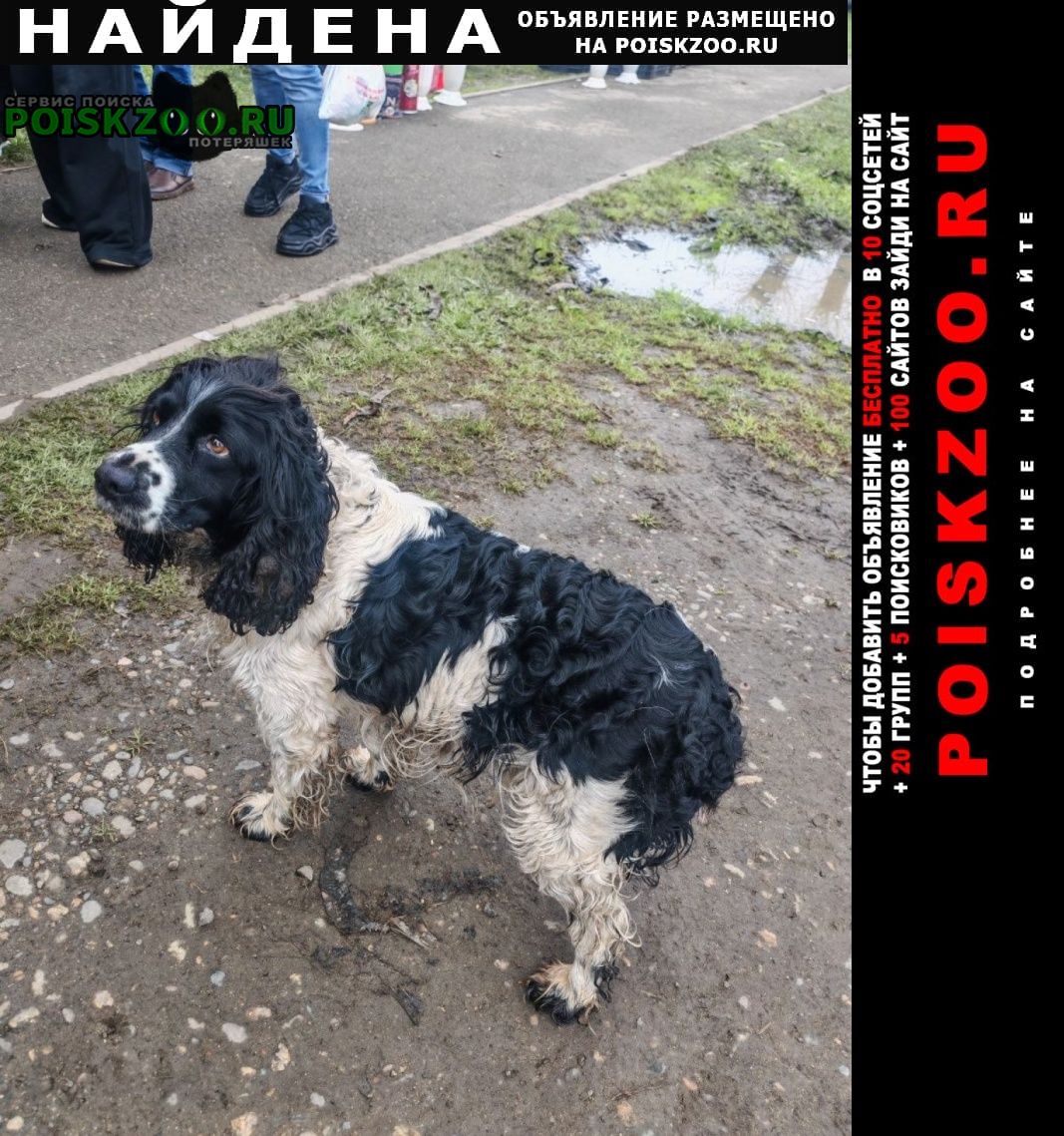 ���� ������� ������ ������������������� ��������