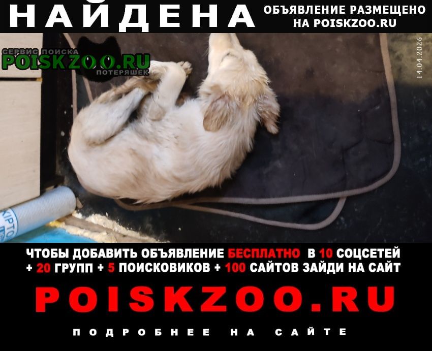 ���� ������� ������ ������