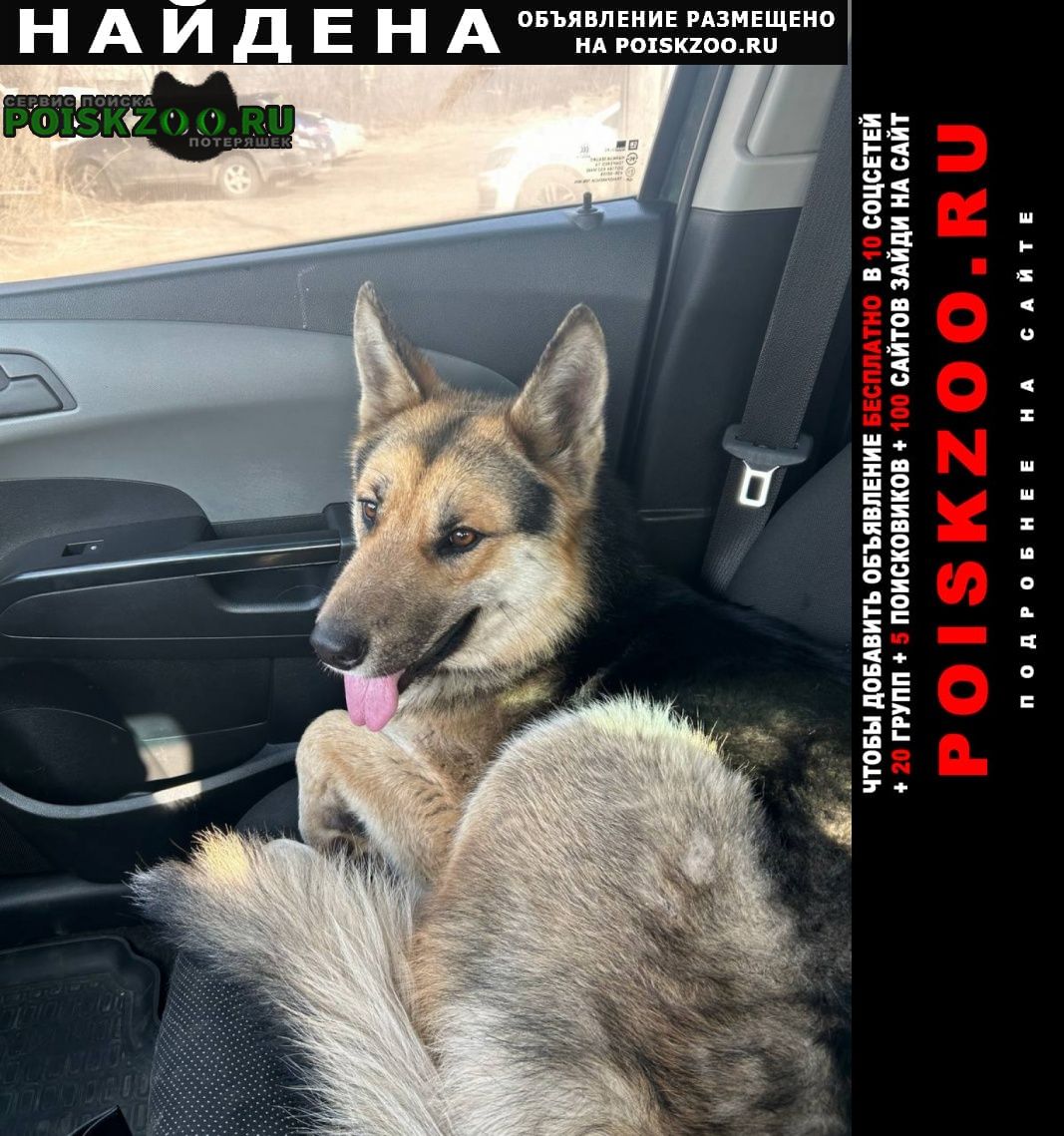 ���� ������� ������ ������