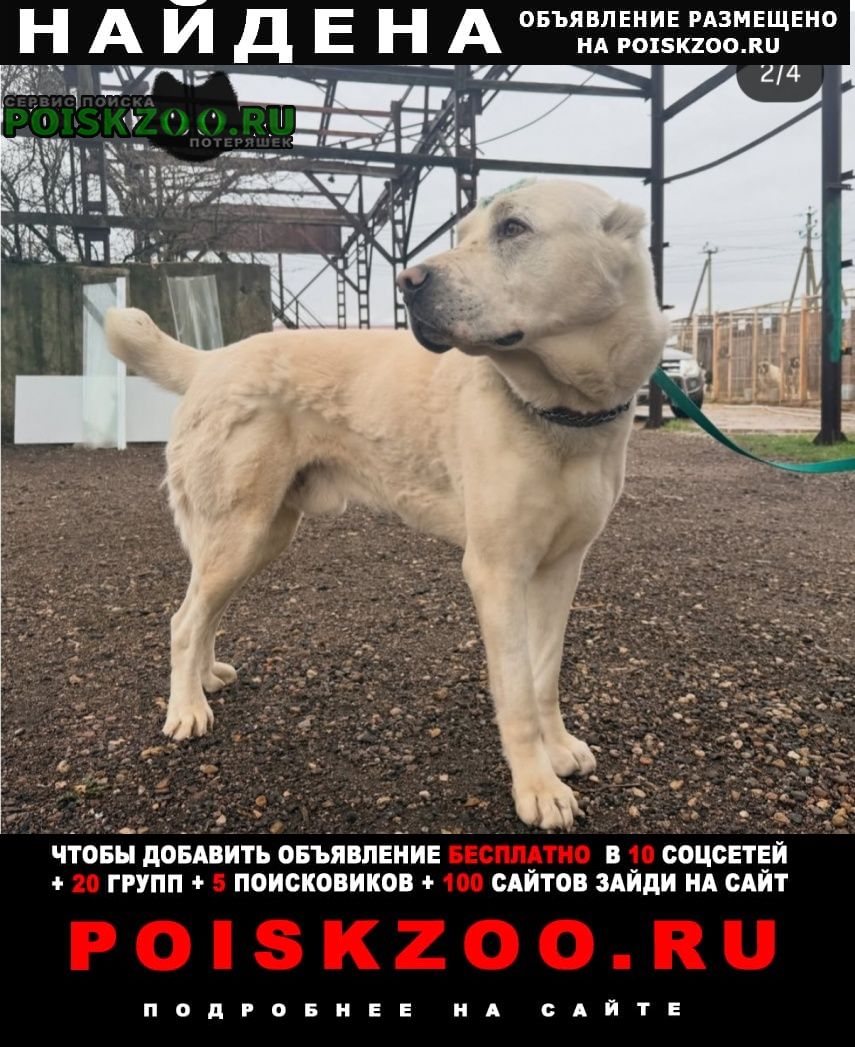 ���� ������� ������ ������ ������