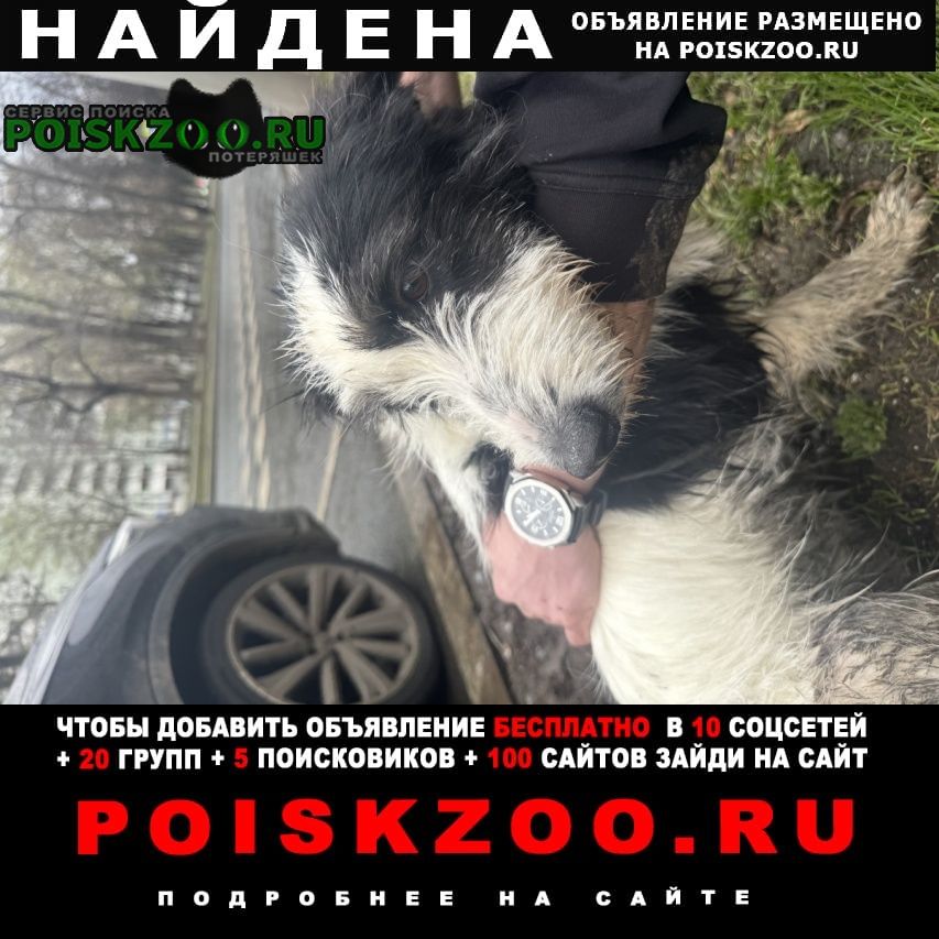 ���� ������� ������