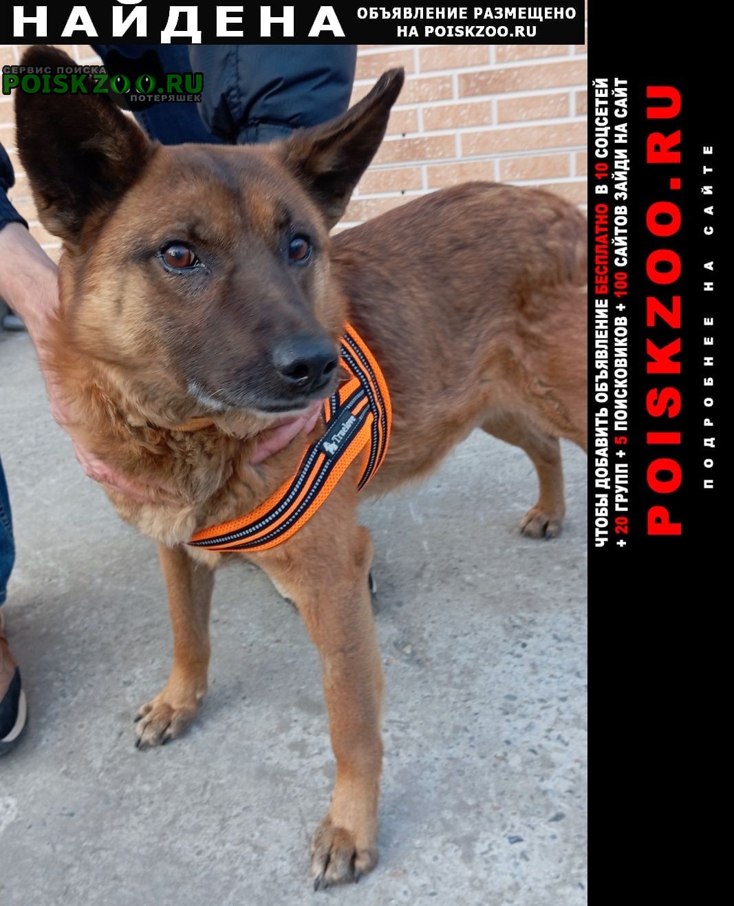 ���� ������� ������ ������ ������ ������� � ���������