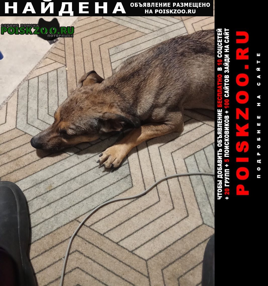 ���� ������� ������ ������ ����� �����