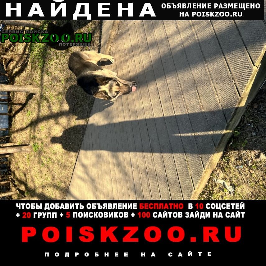 ���� ������� ������ �� ������� ������ ��� ��������