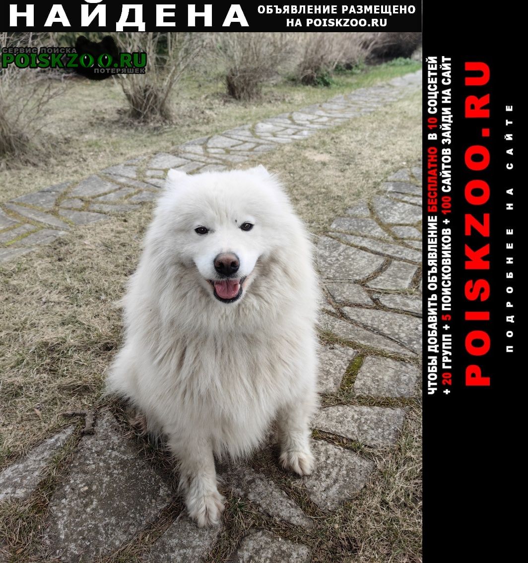 ���� ������� ������ ������, �������