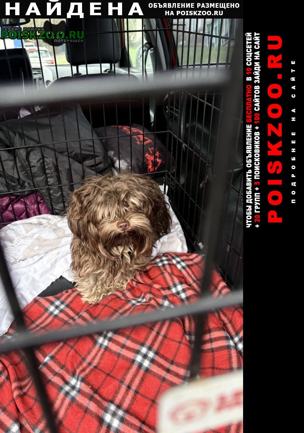 ���� ������� ������ ������ ������� �������