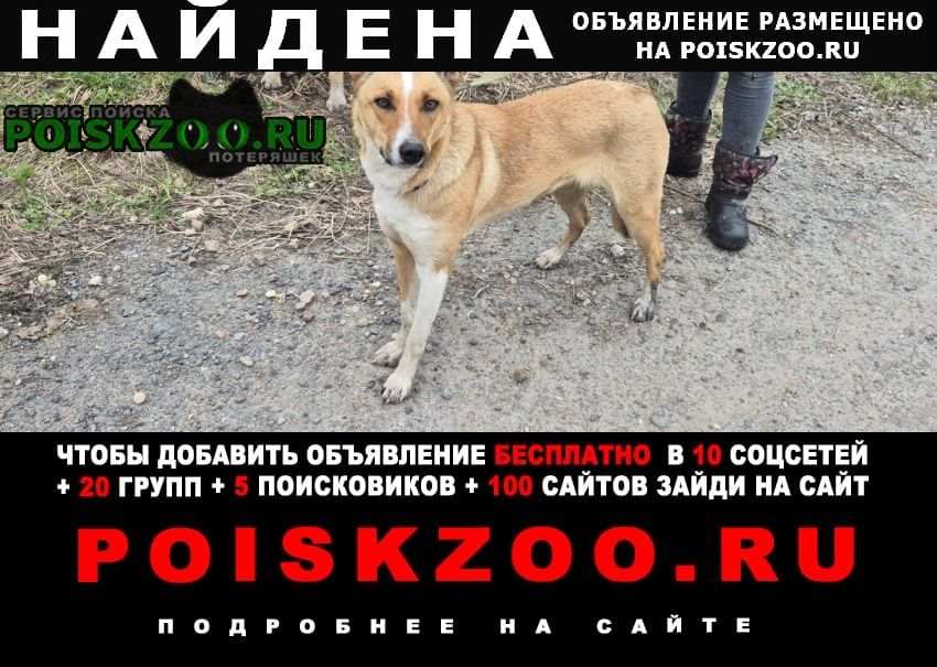 ���� ������� ������