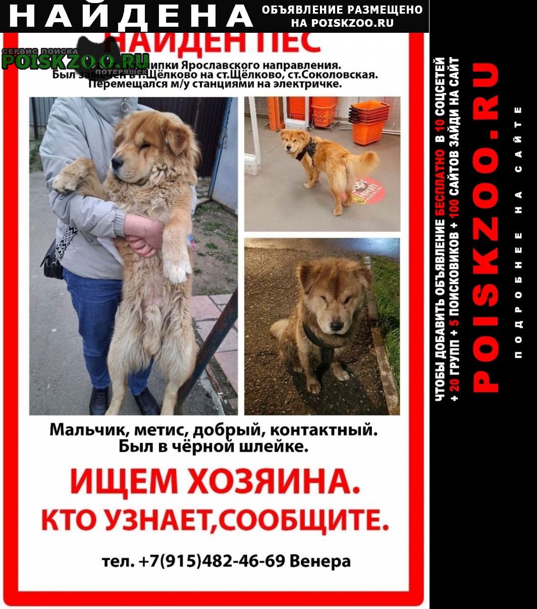 ���� ������� ������ ������