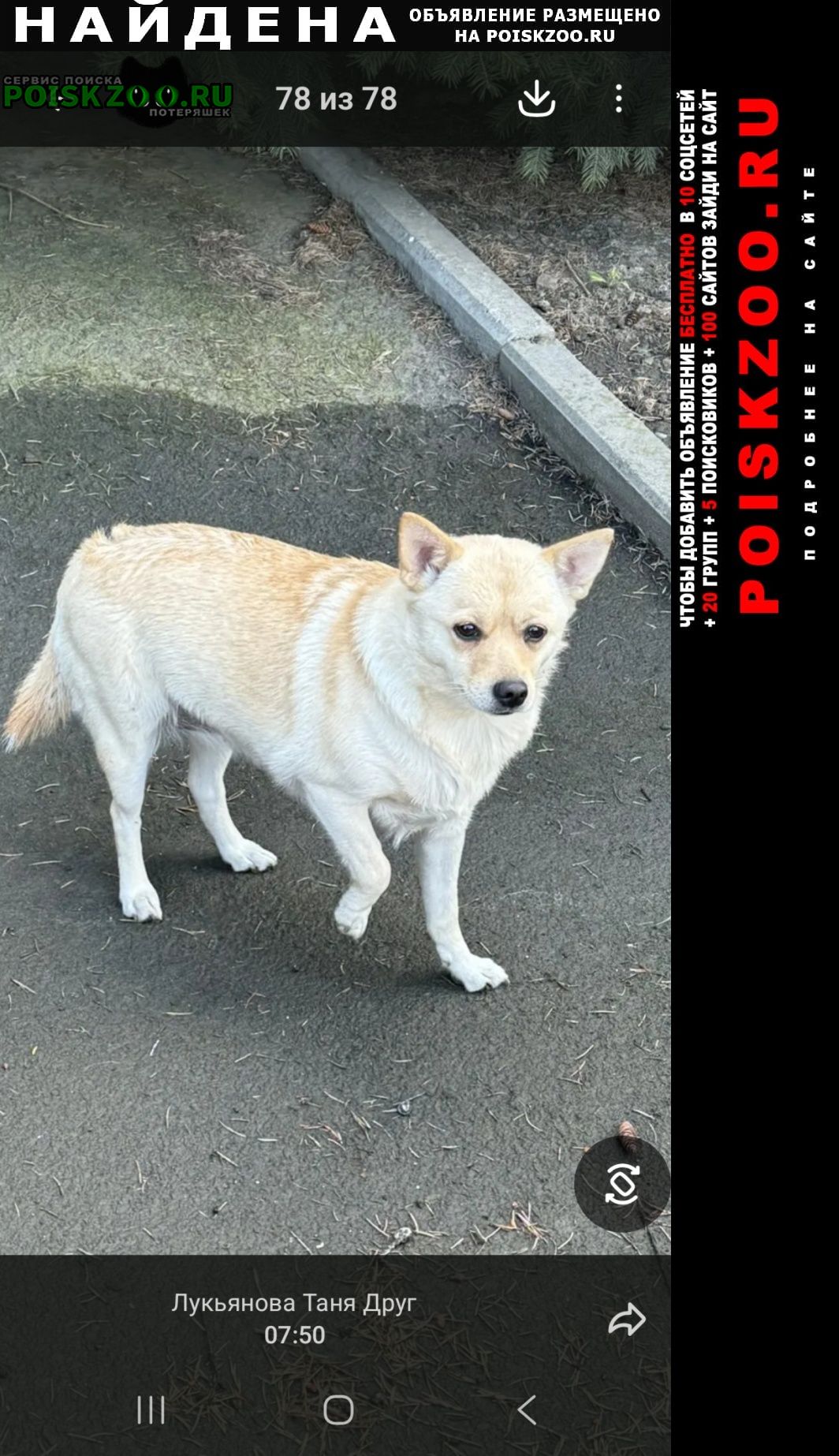 ���� ������� ������ ��������� �������