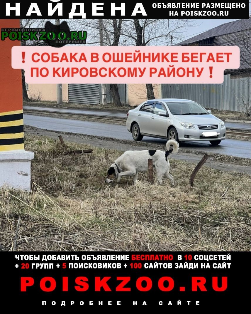 ���� ������� ������ ���������� ������