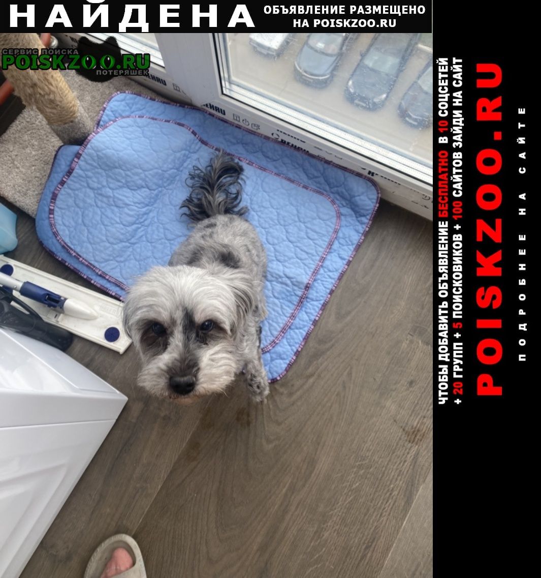 ���� ������� ������