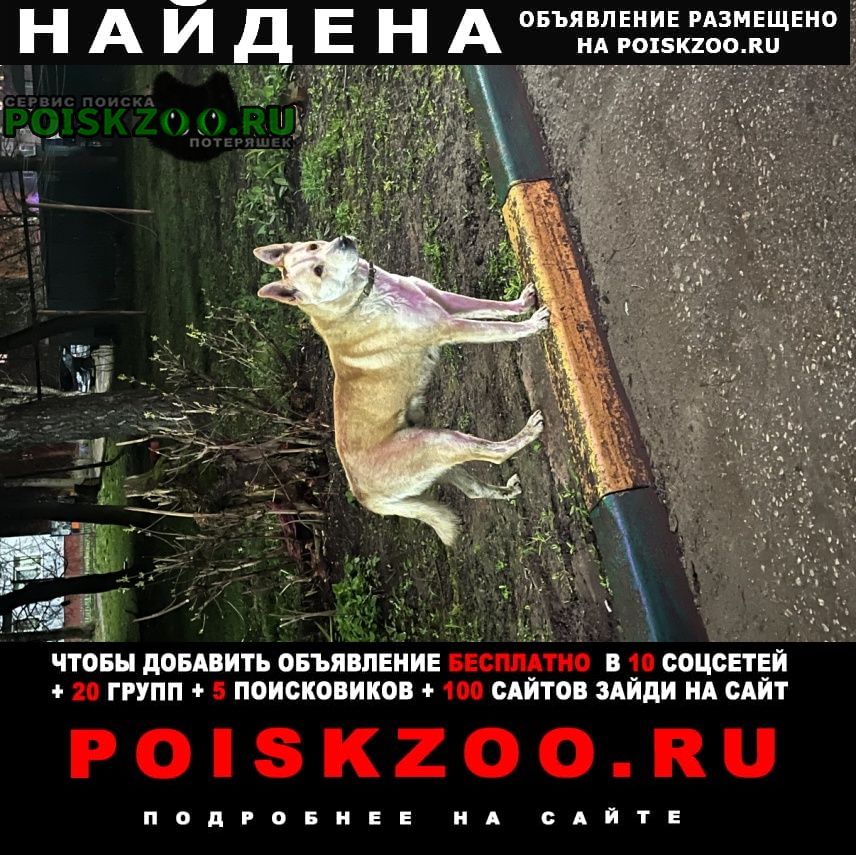 ���� ������� ������ ������ �������� ����� �������