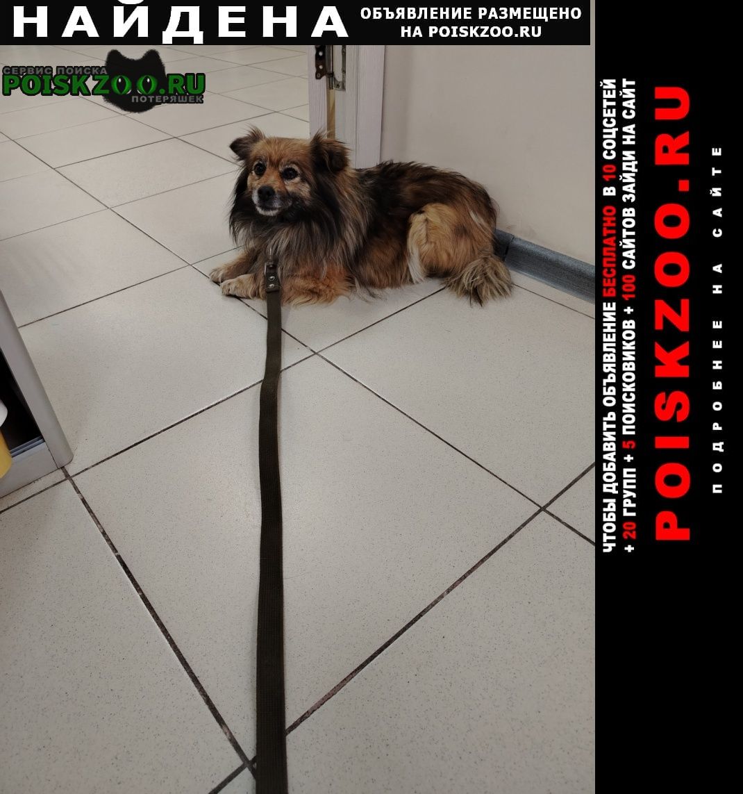 ���� ������� ������