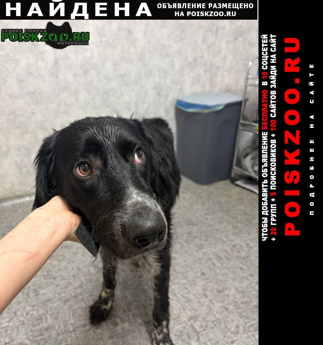 ���� ������� ������ ������