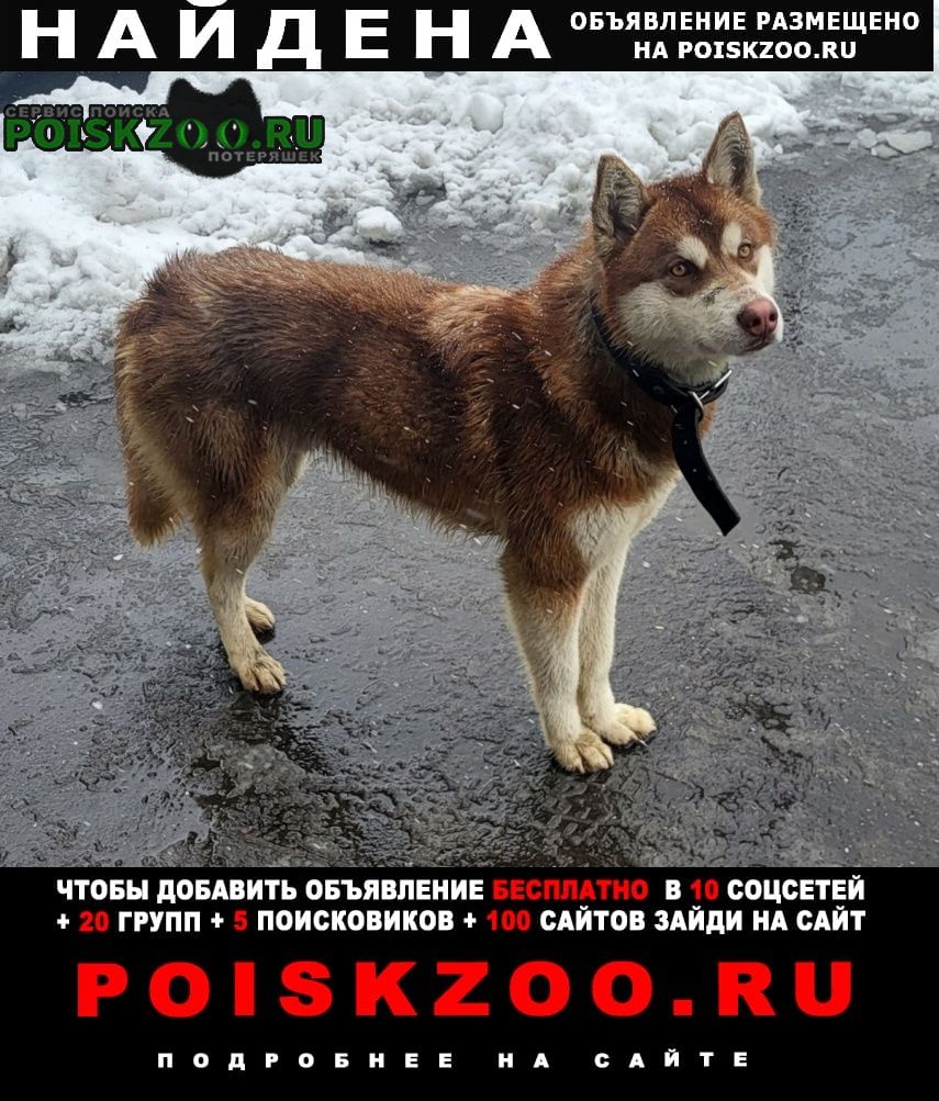 ���� ������� ������ ������ �������� ������, ���� ��������