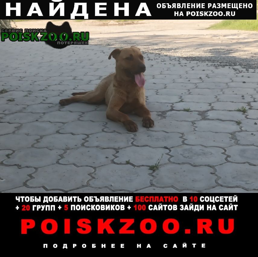 ���� ������� ������ ������ ��������� ������