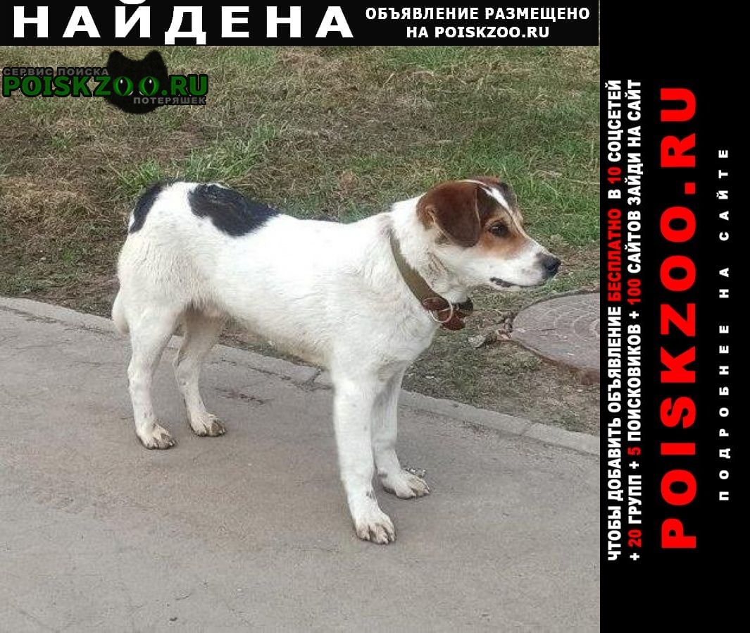 ���� ������� ������ ��������� ������ ���� �������