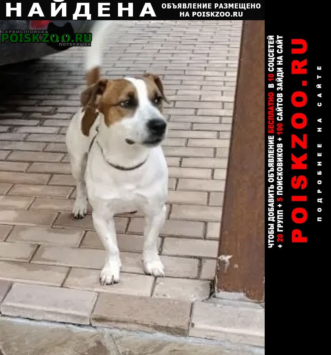 ���� ������� ������ ������, ���� ������