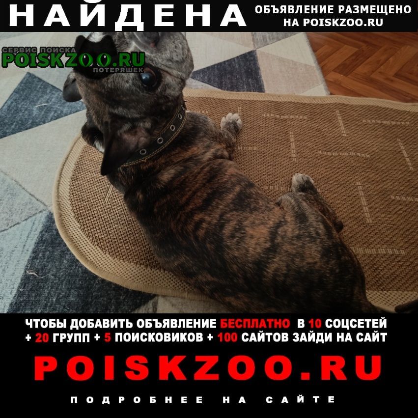 ���� ������� ������ ������ ����������� �������